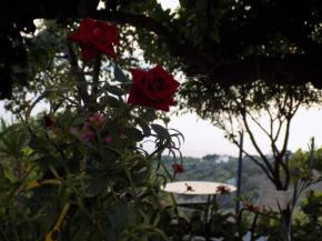 Angelinas House